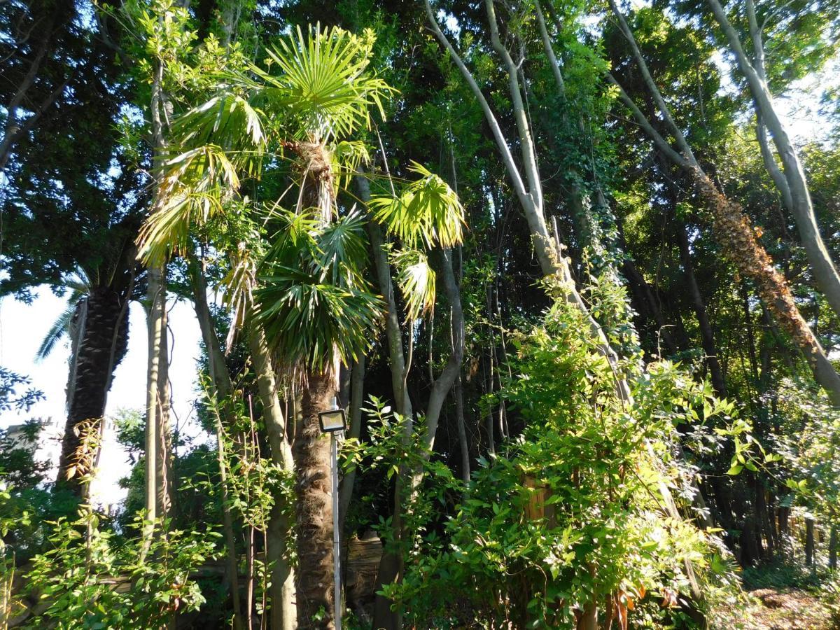 Appartamento Con Piscina Immersa Nel Verde Cascina Exterior photo